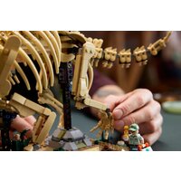 Конструктор LEGO Jurassic World 77985 Окаменелости динозавров: Трицератопс - Превью изображения №11 — Интернет-магазин Teono.by
