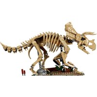Конструктор LEGO Jurassic World 77985 Окаменелости динозавров: Трицератопс - Превью изображения №3 — Интернет-магазин Teono.by