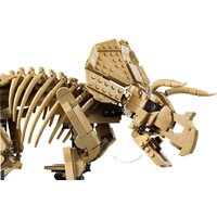 Конструктор LEGO Jurassic World 77985 Окаменелости динозавров: Трицератопс - Превью изображения №5 — Интернет-магазин Teono.by