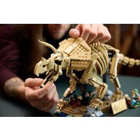 Конструктор LEGO Jurassic World 77985 Окаменелости динозавров: Трицератопс - Превью изображения №12 — Интернет-магазин Teono.by