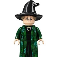 LEGO Harry Potter 76382 Учеба в Хогвартсе: Урок трансфигурации Image #13