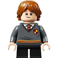 LEGO Harry Potter 76382 Учеба в Хогвартсе: Урок трансфигурации Image #12