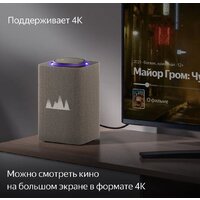 Яндекс Станция Макс (с хабом умного дома Zigbee, бежевый) Image #5