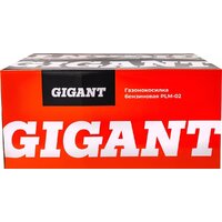 Газонокосилка Gigant PLM-02 - Превью изображения №31 — Интернет-магазин Teono.by