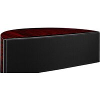 DALI Epicon Vokal Image #3