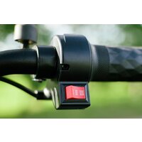 AVM Delta Lite (красный) Image #15