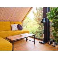 ETA Lunar 4238 90000 Image #14