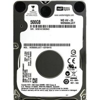 WD AV-25 500GB (WD5000LUCT)