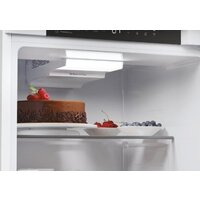 Однокамерный холодильник Candy UP Fridge 600 CML5518EVWL - Превью изображения №9 — Интернет-магазин Teono.by