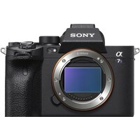 Sony Alpha a7S III Body