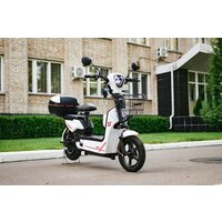 AVM Delta (белый) Image #21