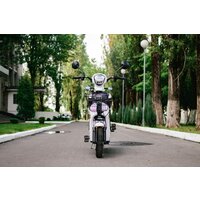 AVM Delta (белый) Image #2