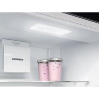 Холодильник Liebherr ICSe 5103 Pure 5103-20001 - Превью изображения №13 — Интернет-магазин Teono.by
