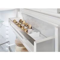 Холодильник Liebherr ICSe 5103 Pure 5103-20001 - Превью изображения №10 — Интернет-магазин Teono.by