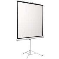 Проекционный экран Digis Kontur-D 206x209 DSKD-1106 - Превью изображения №4 — Интернет-магазин Teono.by