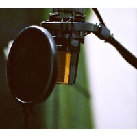 AKG C414 XLII Image #10