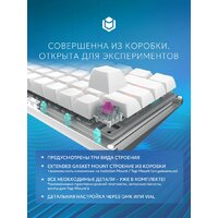 Клавиатура IO by Red Square Custom 68 g3ms Zircon (белый) - Превью изображения №6 — Интернет-магазин Teono.by