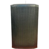 Acury DS12W