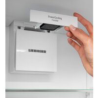 Однокамерный холодильник Liebherr IRBd 4520 Plus - Превью изображения №11 — Интернет-магазин Teono.by