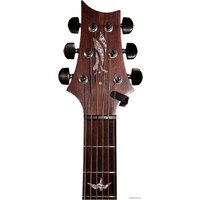 D'Addario Planet Waves PW-CT-12 NS Micro Headstock Tuner Image #5