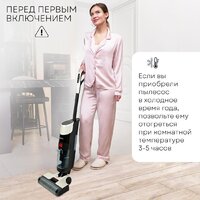 Вертикальный моющий пылесос Planta PL-CW201 - Превью изображения №17 — Интернет-магазин Teono.by