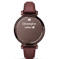 Garmin Lily 2 Classic (темная бронза/шелковица) Image #4