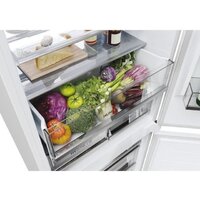 Холодильник Haier HBW7719DT - Превью изображения №11 — Интернет-магазин Teono.by