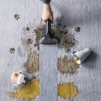 Tefal Clean It IZ5020 Image #7