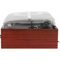 Alive Audio Quattro Wood Image #6