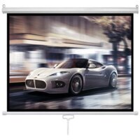 Future Vision Business 300 300x218 W300WMW