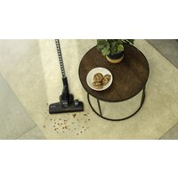 Cecotec Conga Rockstar Cyclonic Powerbag 108209 Image #3