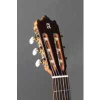 Alhambra Student Iberia Ziricote Image #5