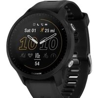 Garmin Forerunner 955 (черный)
