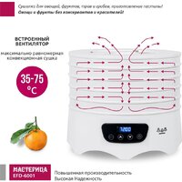 Сушилка для овощей и фруктов Мастерица EFD-6001 - Превью изображения №9 — Интернет-магазин Teono.by