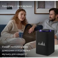 Яндекс Станция Макс (с хабом умного дома Zigbee, графит) Image #8