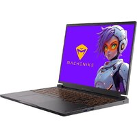 Игровой ноутбук Machenike L16 Saturn 9 JJ00GU00HRU - Превью изображения №4 — Интернет-магазин Teono.by