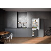 Холодильник Liebherr ICNd 5103 Pure NoFrost - Превью изображения №4 — Интернет-магазин Teono.by