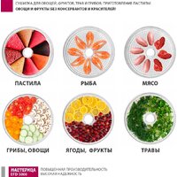 Сушилка для овощей и фруктов Мастерица EFD-5000 - Превью изображения №13 — Интернет-магазин Teono.by