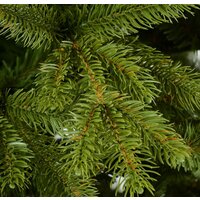 Erbis Swierk PE Gesty Lux 2.2 м Image #2