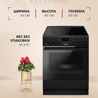 Кухонная плита Hansa FCCM69225H - Превью изображения №12 — Интернет-магазин Teono.by