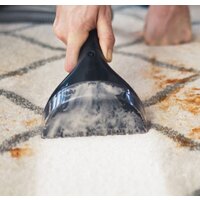 Bissell SpotClean Pro 1558N Image #3