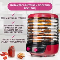 Сушилка для овощей и фруктов Мастерица EFD-2000 - Превью изображения №6 — Интернет-магазин Teono.by