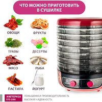 Сушилка для овощей и фруктов Мастерица EFD-2000 - Превью изображения №2 — Интернет-магазин Teono.by