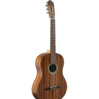Акустическая гитара Flight C-110 Teak 4/4 - Превью изображения №2 — Интернет-магазин Teono.by