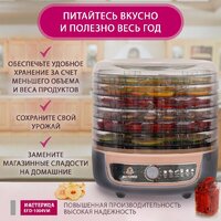 Сушилка для овощей и фруктов Мастерица EFD-1004VM - Превью изображения №3 — Интернет-магазин Teono.by