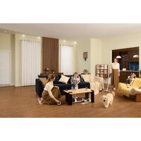 Пылесос Tineco Floor One Switch S6 Power Kit - Превью изображения №21 — Интернет-магазин Teono.by