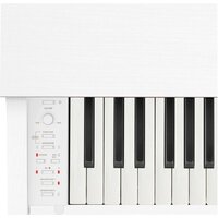 Casio Celviano AP-270 (белый) Image #4