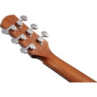 Ibanez AAD50-LG Image #3