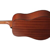 Ibanez AAD50-LG Image #4