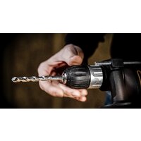 Worx WX317.2 Image #3